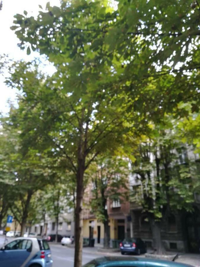 Dreno Apartman Zagreb Exterior photo